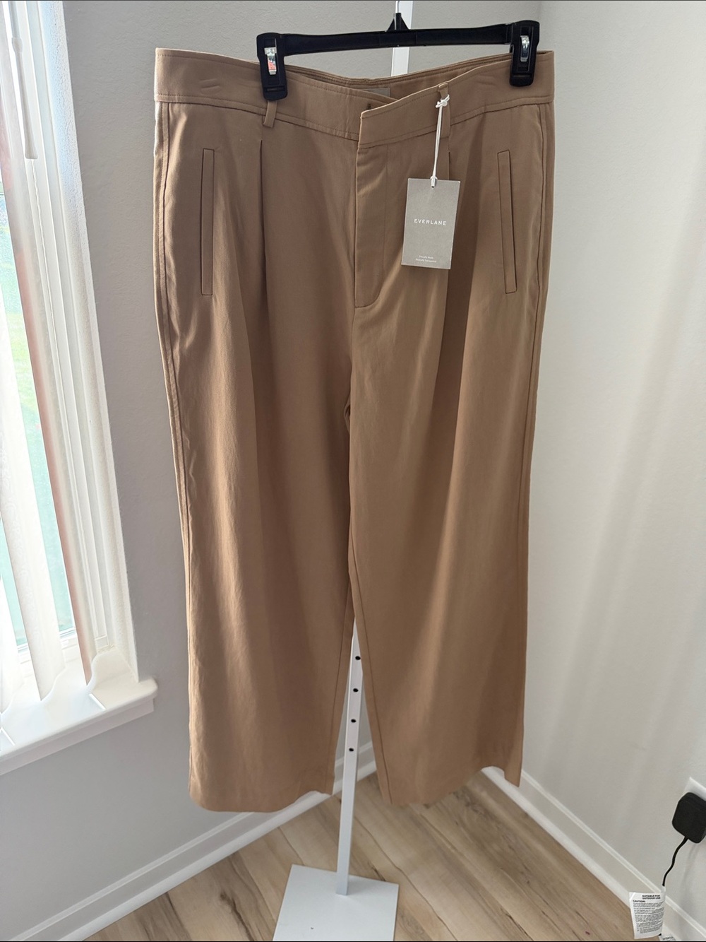 Everlane Wide-Leg Chinos in Tan Brown